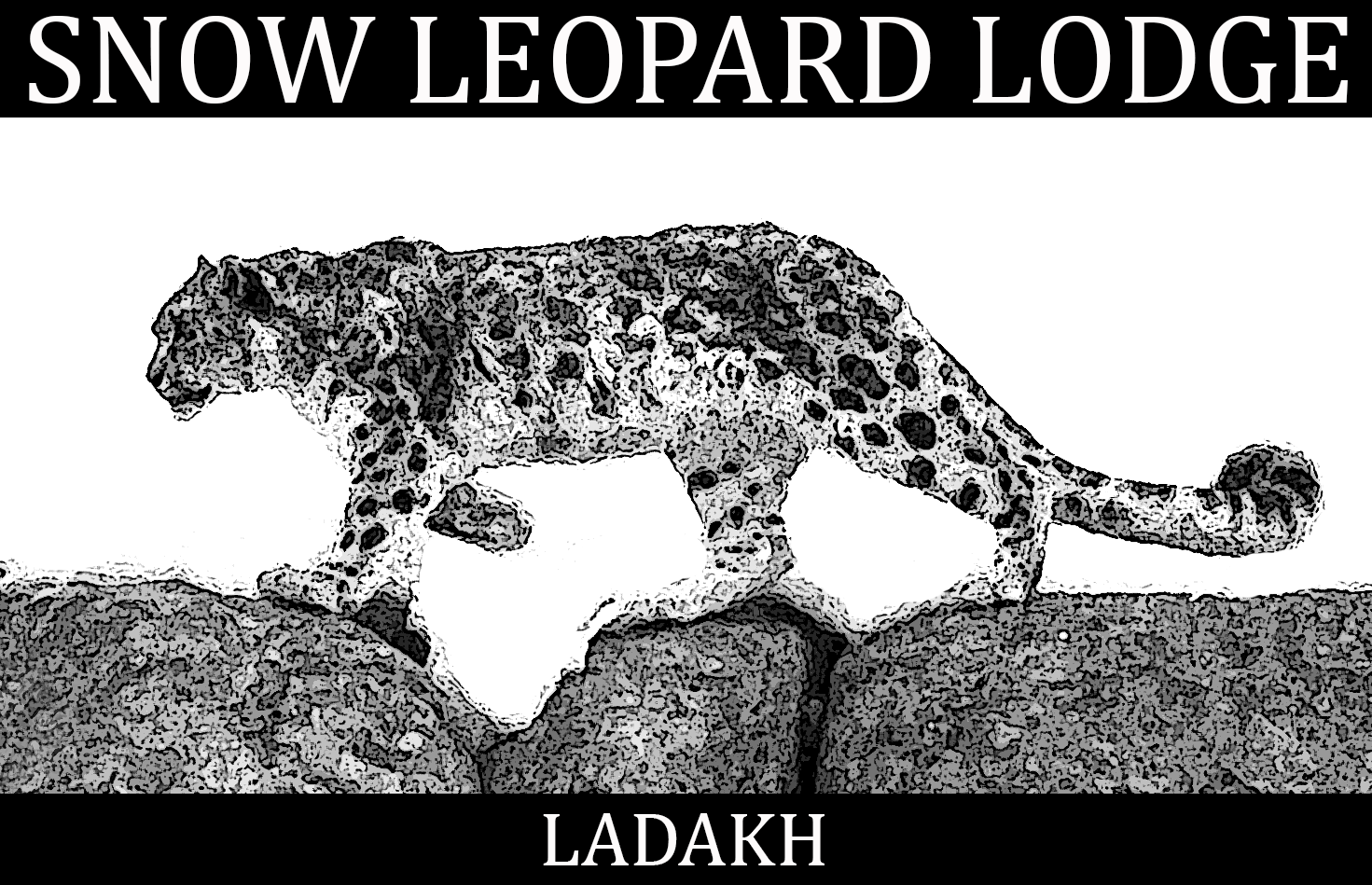 snowleopardlodge.com